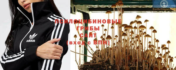 шишки Ладушкин