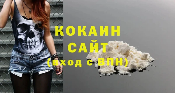 шишки Ладушкин