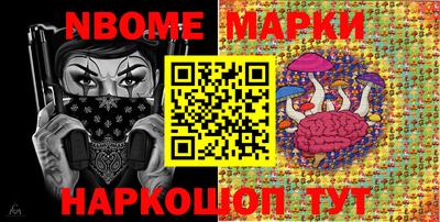крисы Славгород