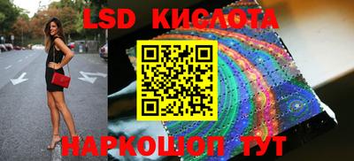 крисы Славгород