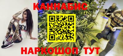 крисы Славгород