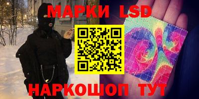 крисы Славгород