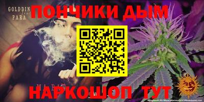 крисы Славгород