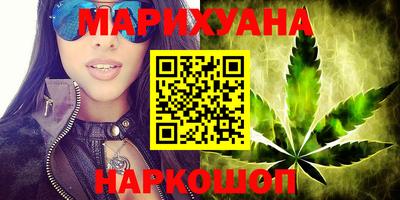 крисы Славгород