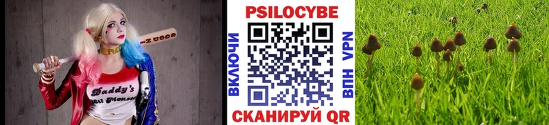 где купить наркоту  Симферополь  kraken рабочий сайт  Галлюциногенные грибы мицелий 