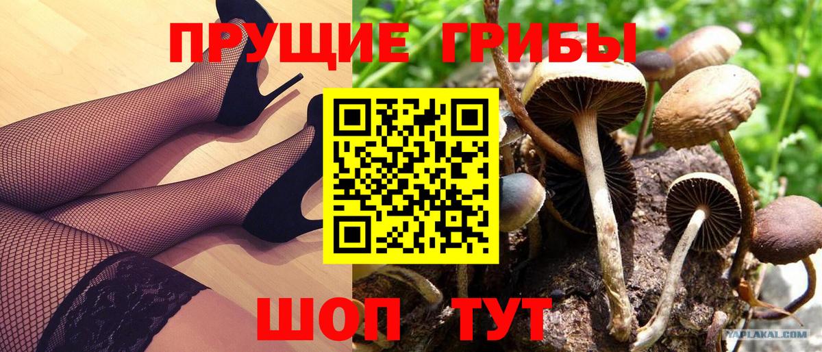 как найти   Галлюциногенные грибы Magic Shrooms  Вход с VPN  Симферополь 