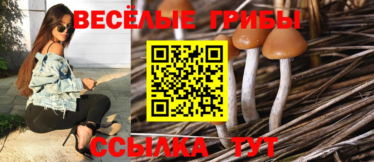 Галлюциногенные грибы прущие грибы Симферополь